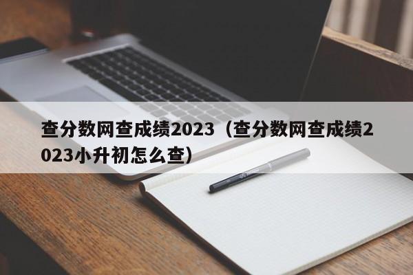 查分数网查成绩2023（查分数网查成绩2023小升初怎么查）