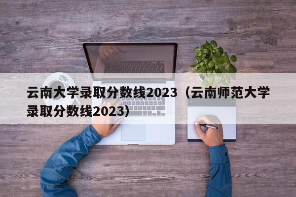 云南大学录取分数线2023（云南师范大学录取分数线2023）
